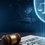 Understanding Cyber Crime Laws in India and How a Cyber Crime Advocate Can Help